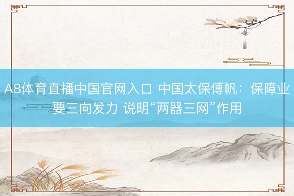 A8体育直播中国官网入口 中国太保傅帆：保障业要三向发力 说明“两器三网”作用