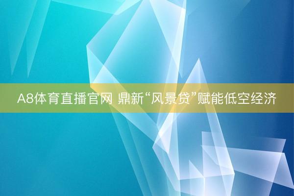 A8体育直播官网 鼎新“风景贷”赋能低空经济