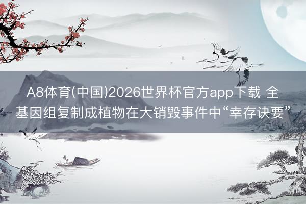 A8体育(中国)2026世界杯官方app下载 全基因组复制成植物在大销毁事件中“幸存诀要”