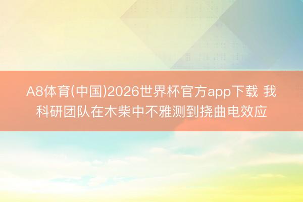 A8体育(中国)2026世界杯官方app下载 我科研团队在木柴中不雅测到挠曲电效应