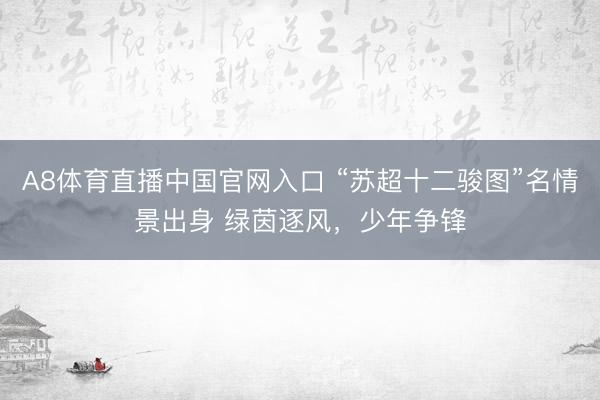 A8体育直播中国官网入口 “苏超十二骏图”名情景出身 绿茵逐风,少年争锋