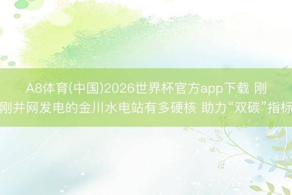 A8体育(中国)2026世界杯官方app下载 刚刚并网发电的金川水电站有多硬核 助力“双碳”指标