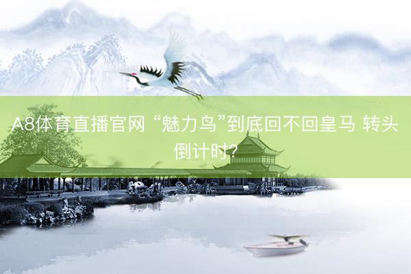 A8体育直播官网 “魅力鸟”到底回不回皇马 转头倒计时？