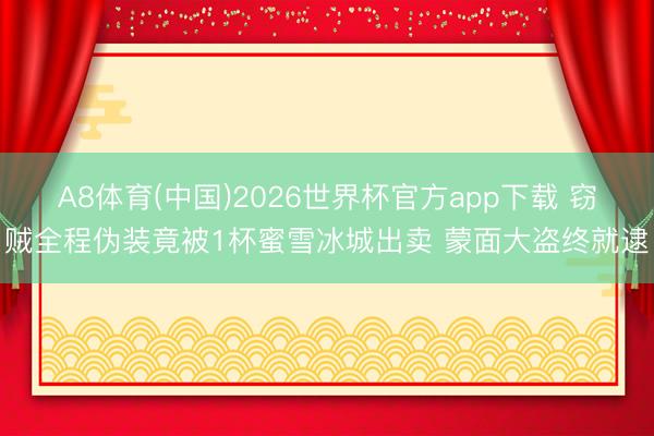 A8体育(中国)2026世界杯官方app下载 窃贼全程伪装竟被1杯蜜雪冰城出卖 蒙面大盗终就逮