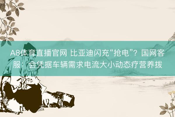 A8体育直播官网 比亚迪闪充“抢电”？国网客服：会凭据车辆需求电流大小动态疗营养拨