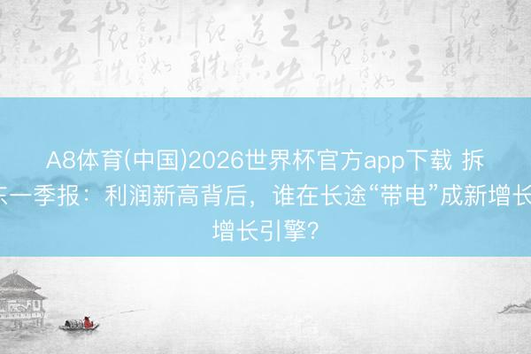 A8体育(中国)2026世界杯官方app下载 拆解京东一季报：利润新高背后，谁在长途“带电”成新增长引擎？