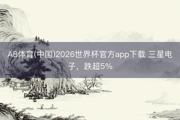 A8体育(中国)2026世界杯官方app下载 三星电子，跌超5%