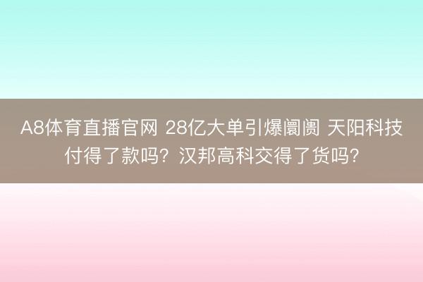 A8体育直播官网 28亿大单引爆阛阓 天阳科技付得了款吗？汉邦高科交得了货吗？
