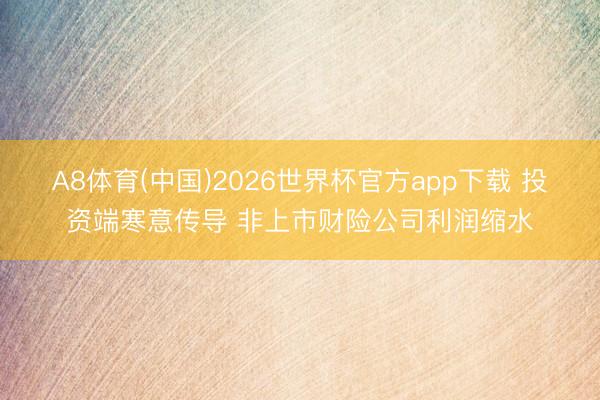 A8体育(中国)2026世界杯官方app下载 投资端寒意传导 非上市财险公司利润缩水