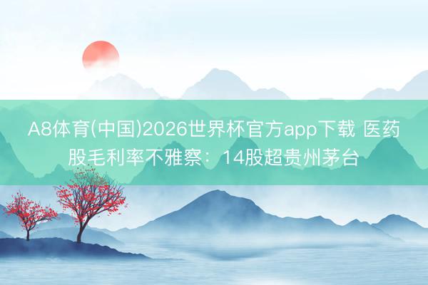 A8体育(中国)2026世界杯官方app下载 医药股毛利率不雅察：14股超贵州茅台