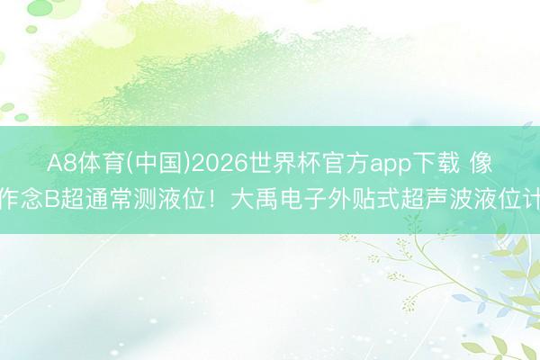 A8体育(中国)2026世界杯官方app下载 像作念B超通常测液位！大禹电子外贴式超声波液位计