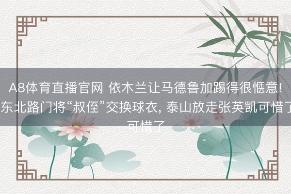 A8体育直播官网 依木兰让马德鲁加踢得很惬意! 东北路门将“叔侄”交换球衣， 泰山放走张英凯可惜了