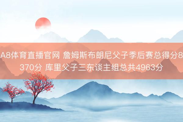 A8体育直播官网 詹姆斯布朗尼父子季后赛总得分8370分 库里父子三东谈主组总共4963分