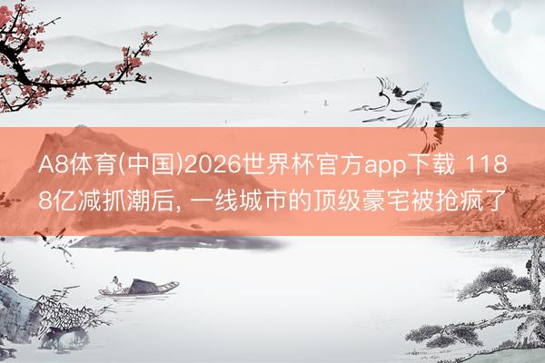 A8体育(中国)2026世界杯官方app下载 1188亿减抓潮后， 一线城市的顶级豪宅被抢疯了