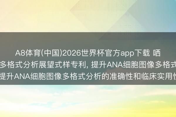 A8体育(中国)2026世界杯官方app下载 哂纳科技请求ANA细胞图像多格式分析展望式样专利， 提升ANA细胞图像多格式分析的准确性和临床实用性