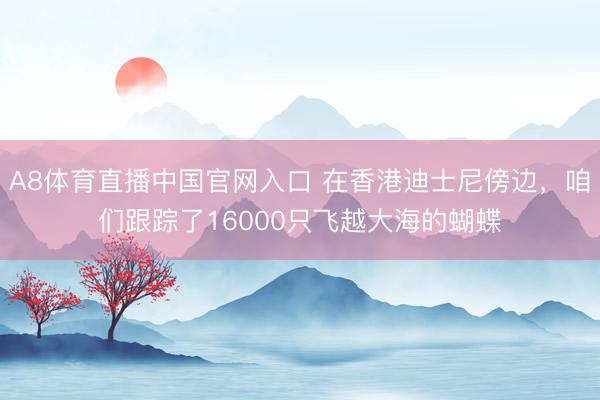 A8体育直播中国官网入口 在香港迪士尼傍边，咱们跟踪了16000只飞越大海的蝴蝶